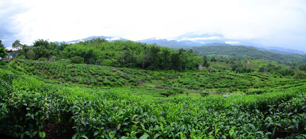 Sabah Tea Resort Ranau Exteriér fotografie