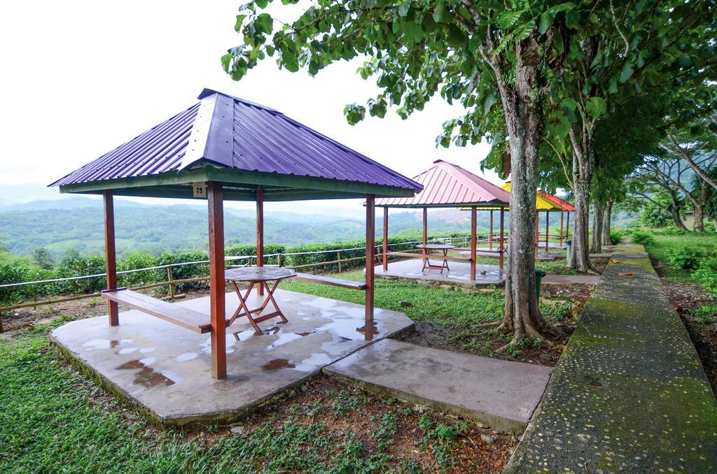 Sabah Tea Resort Ranau Exteriér fotografie