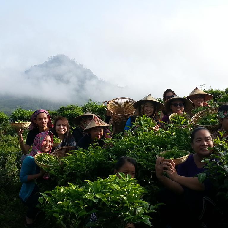 Sabah Tea Resort Ranau Exteriér fotografie