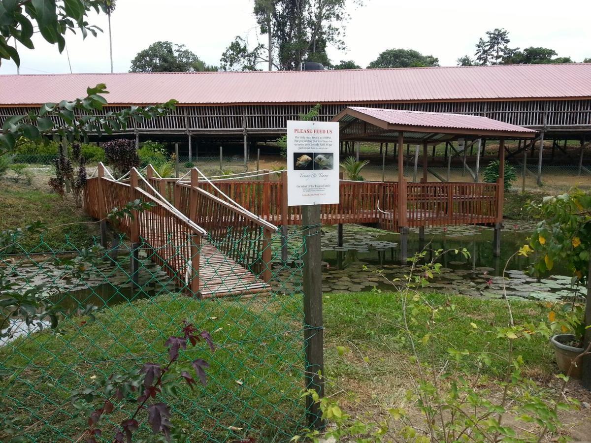 Sabah Tea Resort Ranau Exteriér fotografie
