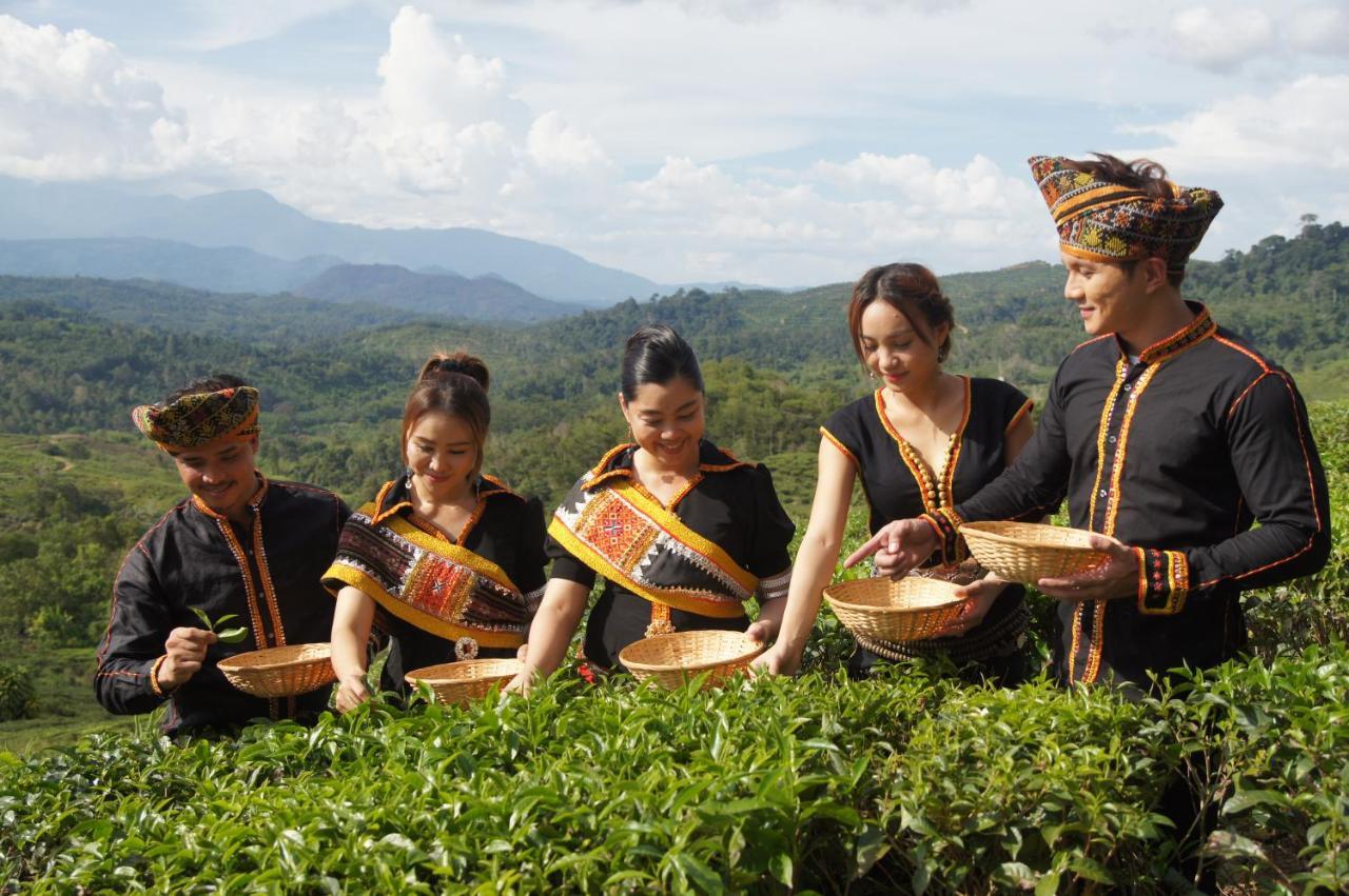 Sabah Tea Resort Ranau Exteriér fotografie