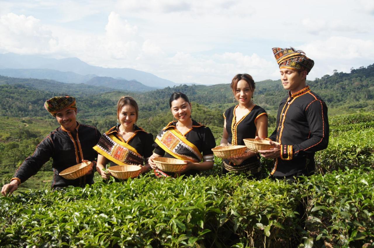 Sabah Tea Resort Ranau Exteriér fotografie