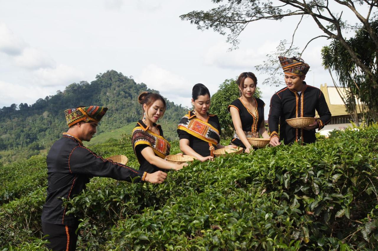 Sabah Tea Resort Ranau Exteriér fotografie