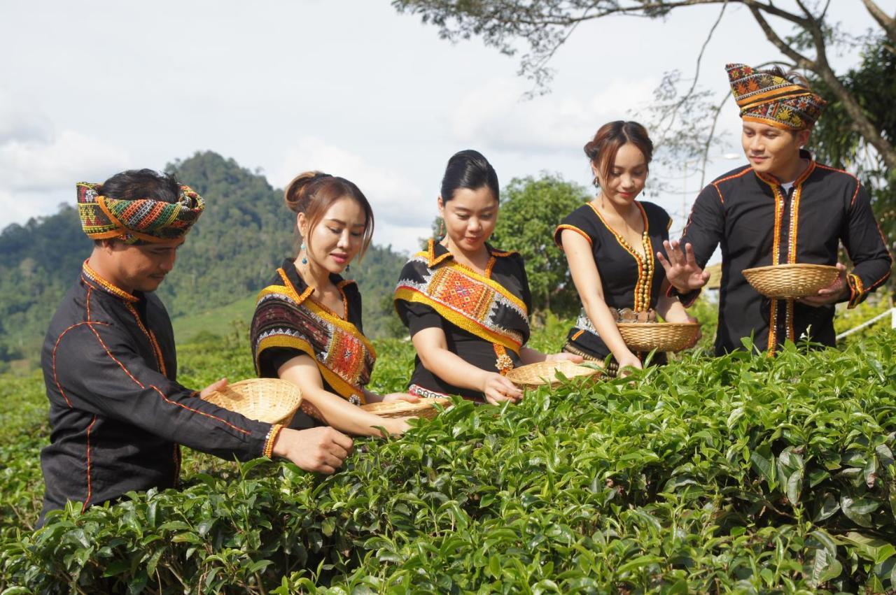 Sabah Tea Resort Ranau Exteriér fotografie